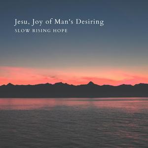 四川少如和四川少如
